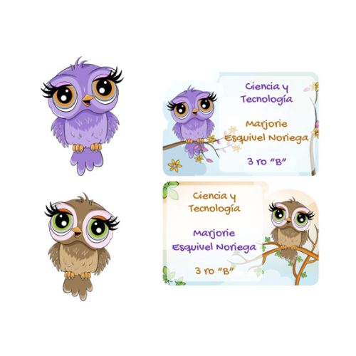etiqueta para el colegio Owls cuadernos