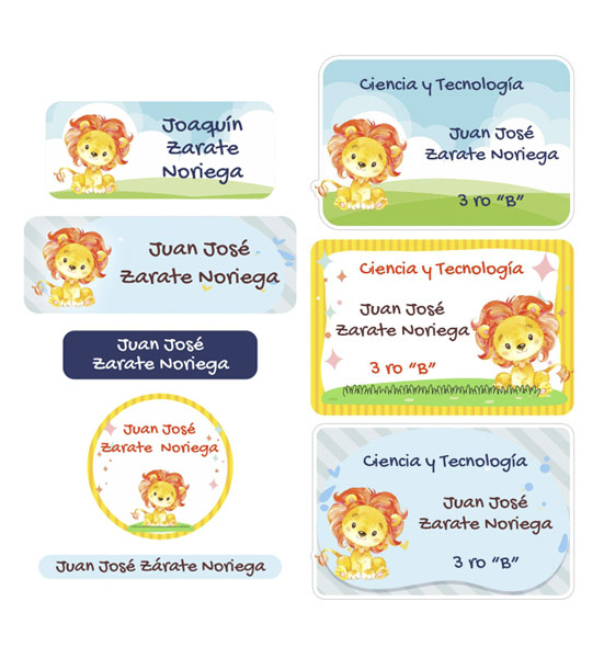 baby lion combo1 – 3