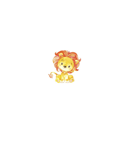 baby lion combo5 – 1