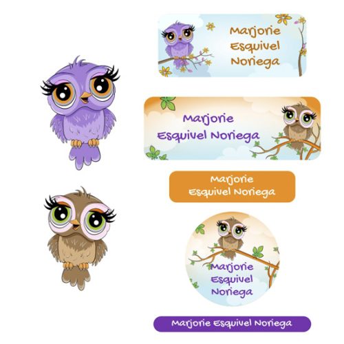 Etiquetas para útiles escolares y tapers Owls
